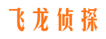 潼关市调查公司